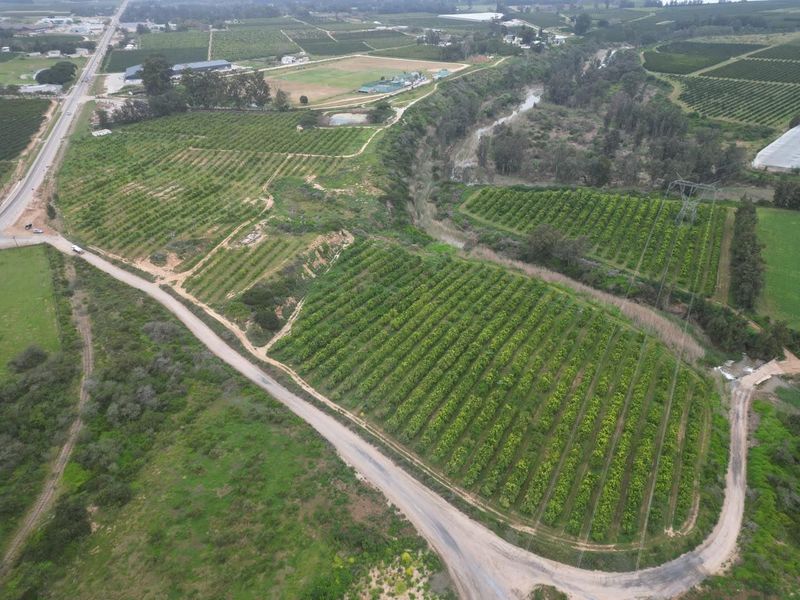 Aerial view of a large agricultural farm featuring extensive orchards, a bordering river, and established access roads.