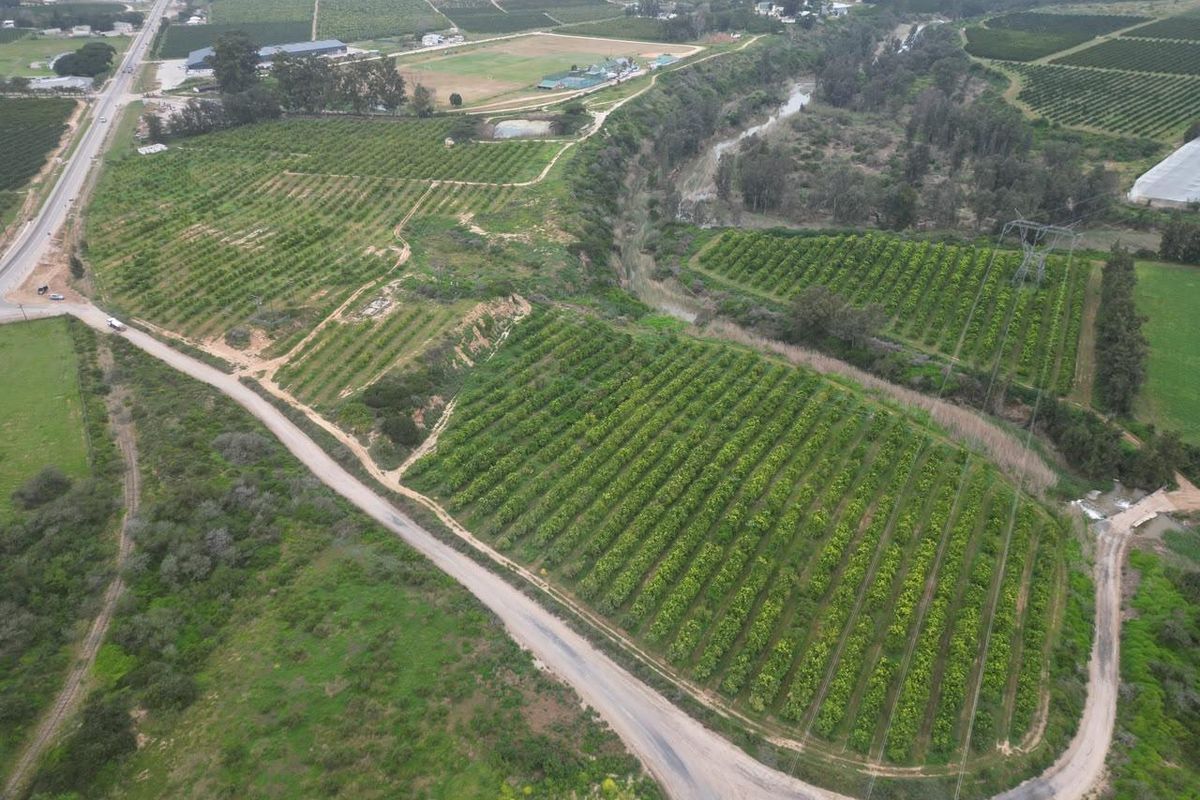 Aerial view of a large agricultural farm featuring extensive orchards, a bordering river, and established access roads.