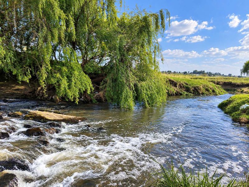 A scenic view of a natural stream flowing through the farm property, featuring lush riparian vegetation and clear water.