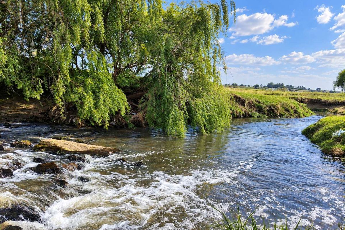 A scenic view of a natural stream flowing through the farm property, featuring lush riparian vegetation and clear water.