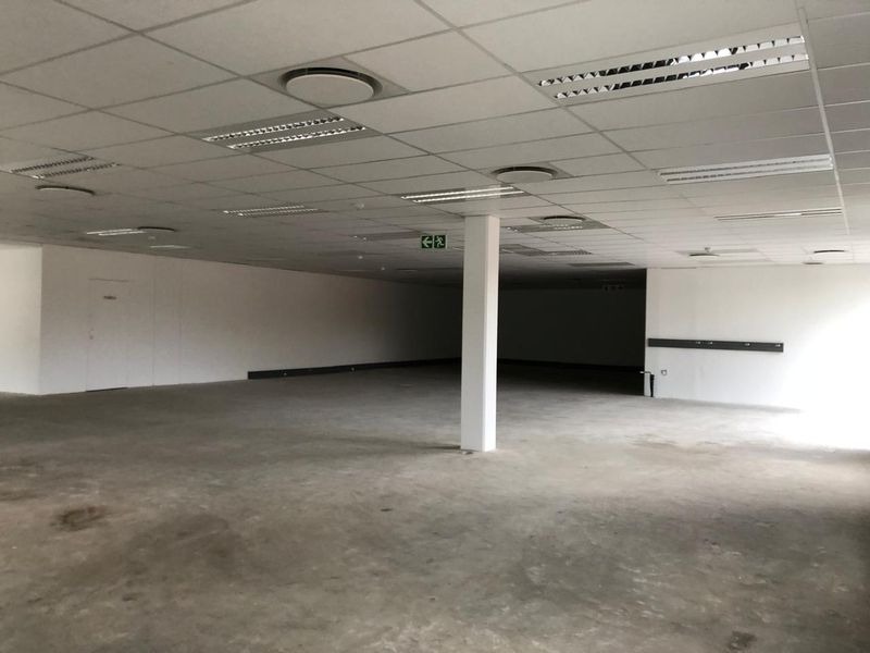 A spacious, open-plan office area featuring a suspended ceiling with recessed lighting and a central structural column, ready for custom fit-out.