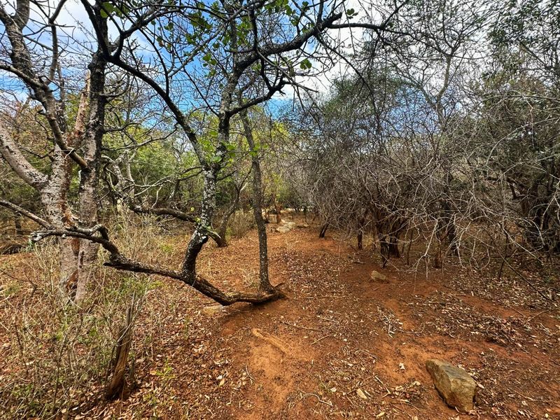 Vacant Stand for Sale in Kampersrus - Photo 10