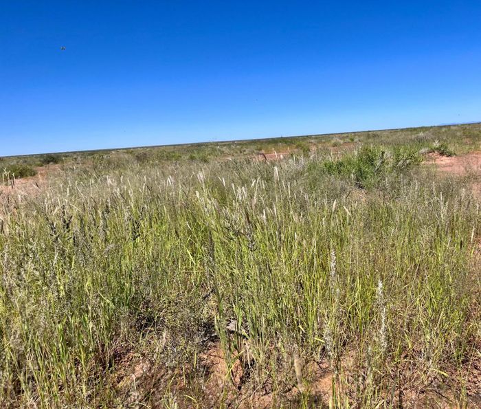 Property #2418546, Farm For Sale in Keetmanshoop Central