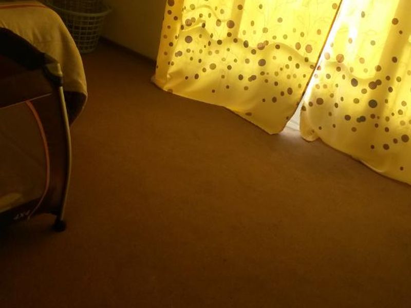 A bedroom featuring carpeted flooring and natural light filtering through window curtains.