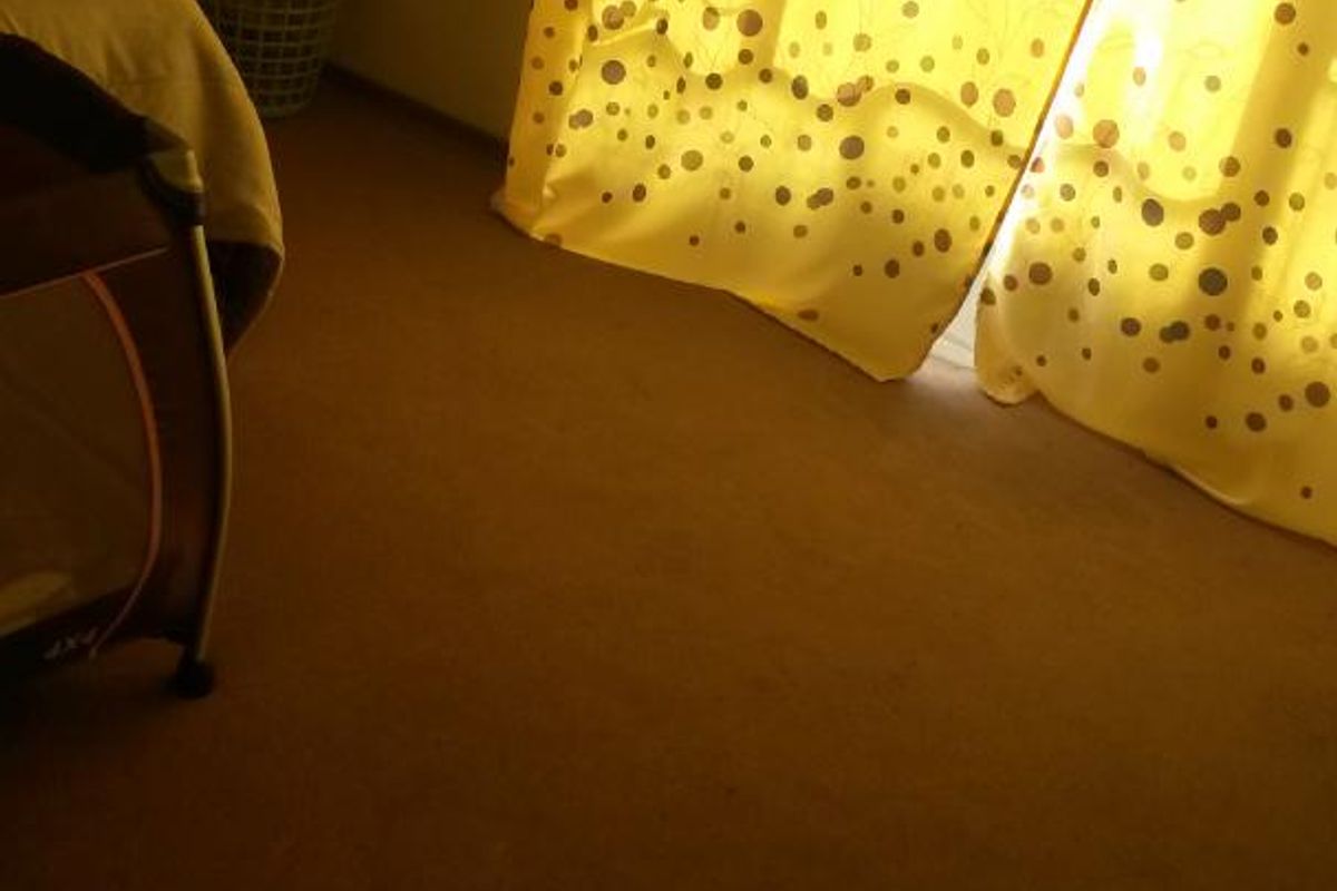 A bedroom featuring carpeted flooring and natural light filtering through window curtains.