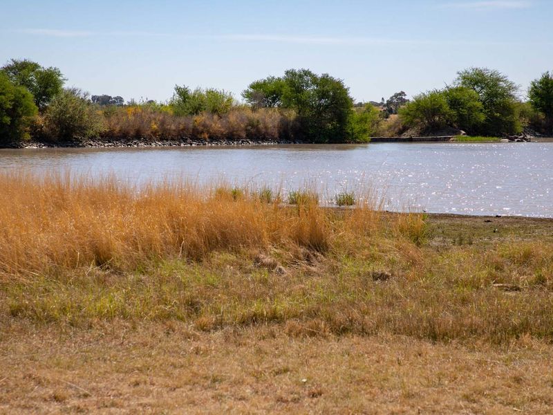 Vacant Land with Dam Views – Weltevrede Dam, Koppies - Photo 3