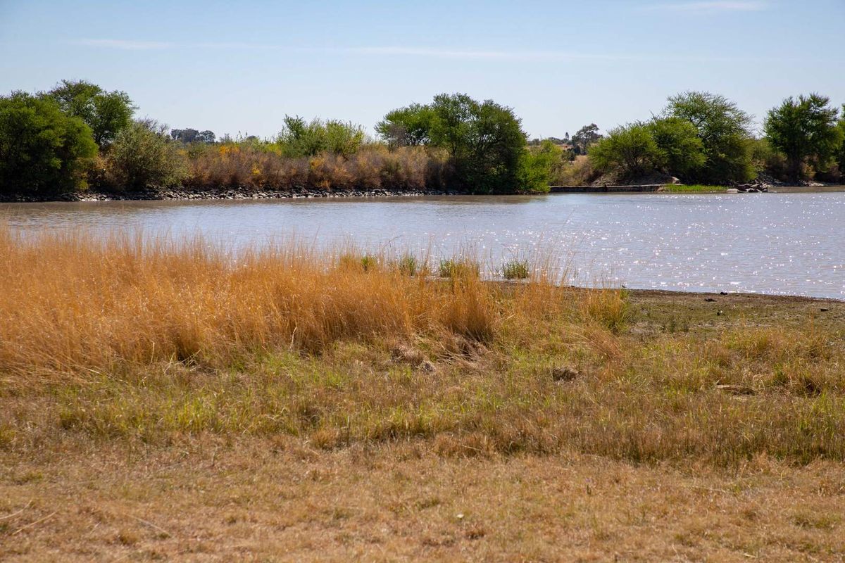 Vacant Land with Dam Views – Weltevrede Dam, Koppies - Photo 3