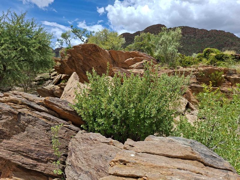 Escape the city hustle and embrace country living just 40 km from Windhoek! - Photo 3