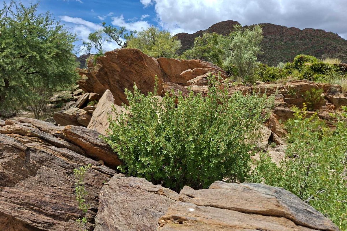 Escape the city hustle and embrace country living just 40 km from Windhoek! - Photo 3