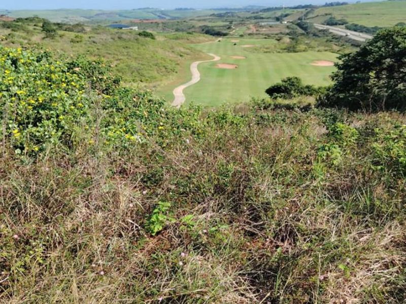 A scenic elevated view overlooking a golf course and surrounding natural landscape, showcasing the property's prime location.