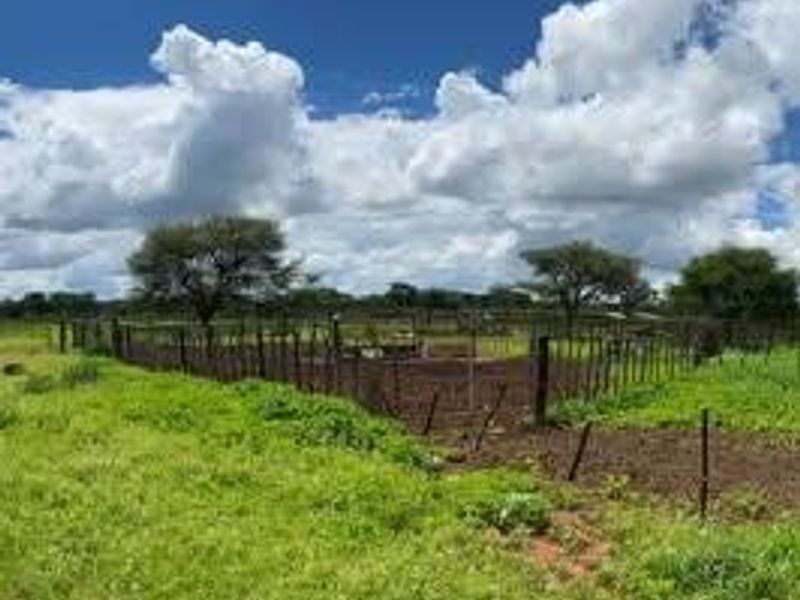 A Rare 1,268.25-Hectare Game Farm in the Hochfeld Area - Photo 5