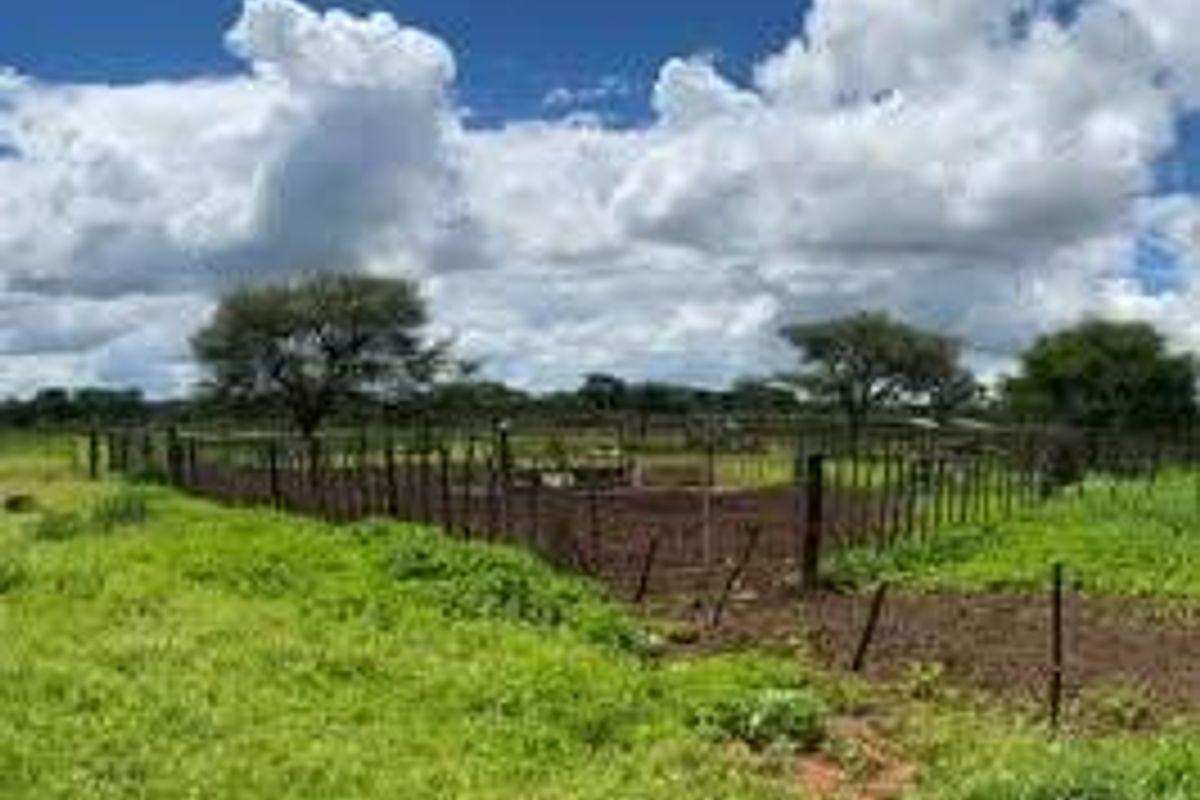 A Rare 1,268.25-Hectare Game Farm in the Hochfeld Area - Photo 5
