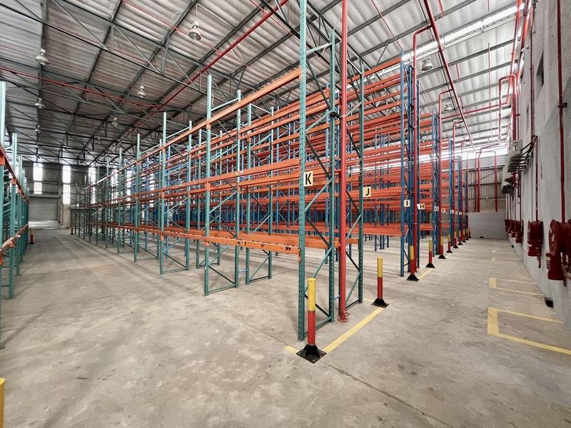 Spacious industrial warehouse featuring high ceilings, exposed steel trusses, concrete flooring, and an extensive built-in pallet racking system with integrated fire safety infrastructure.