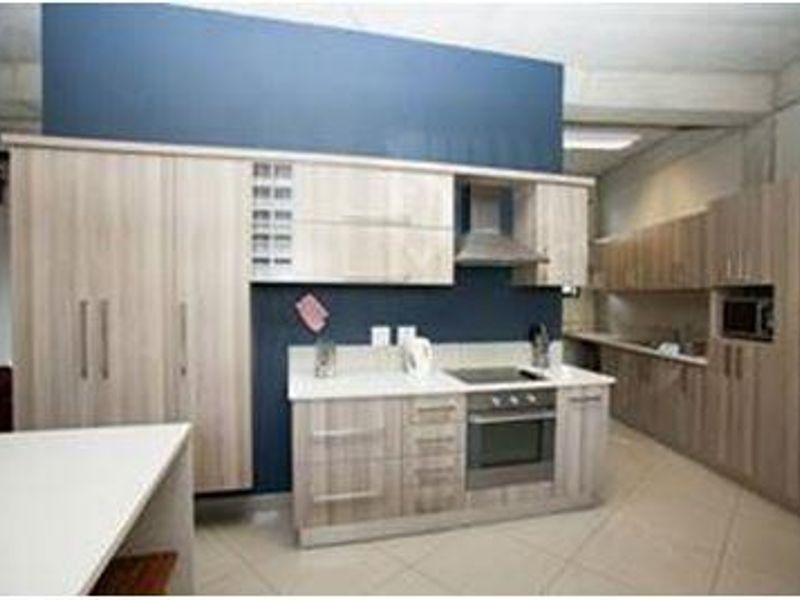Modern office kitchen featuring light wood-grain cabinetry, stone countertops, integrated oven, hob, and extractor fan with a contrasting blue feature wall.