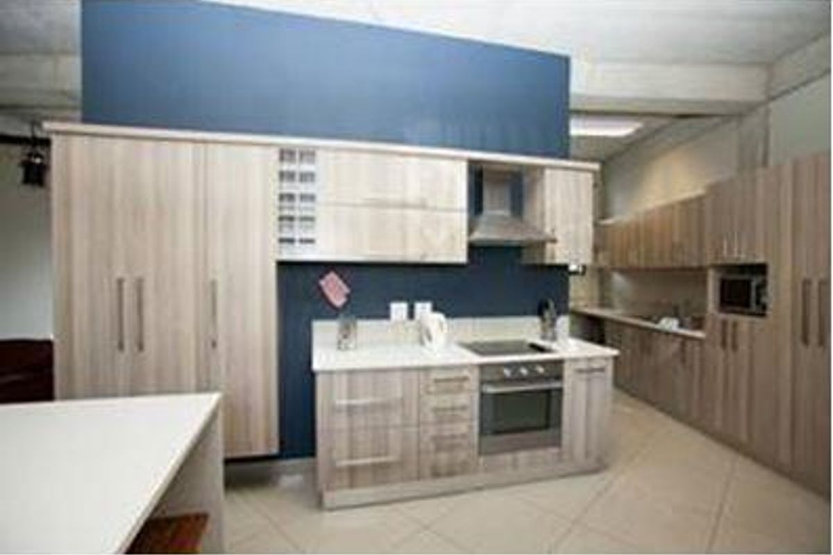 Modern office kitchen featuring light wood-grain cabinetry, stone countertops, integrated oven, hob, and extractor fan with a contrasting blue feature wall.