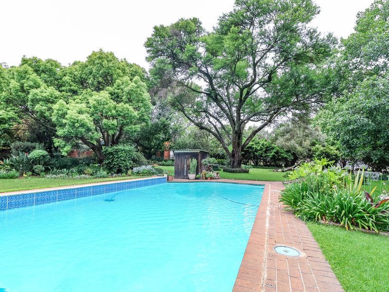 A well-maintained swimming pool set within a lush, mature garden featuring established trees and brick-edged paving.