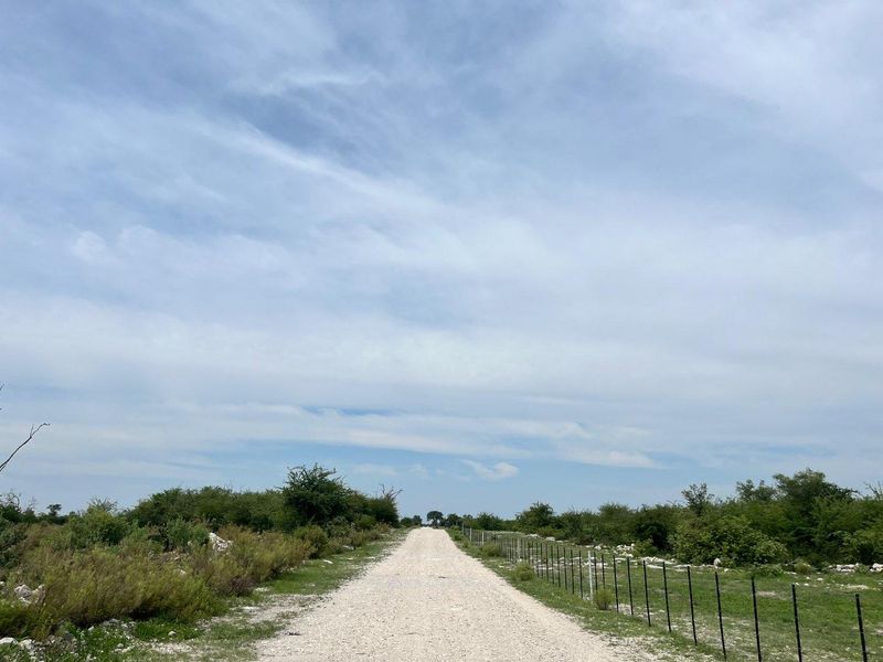 CALLIE’S GAME LODGE | EXCEPTIONAL HOSPITALITY & WILDLIFE INVESTMENT NEAR TSUMEB - Photo 4