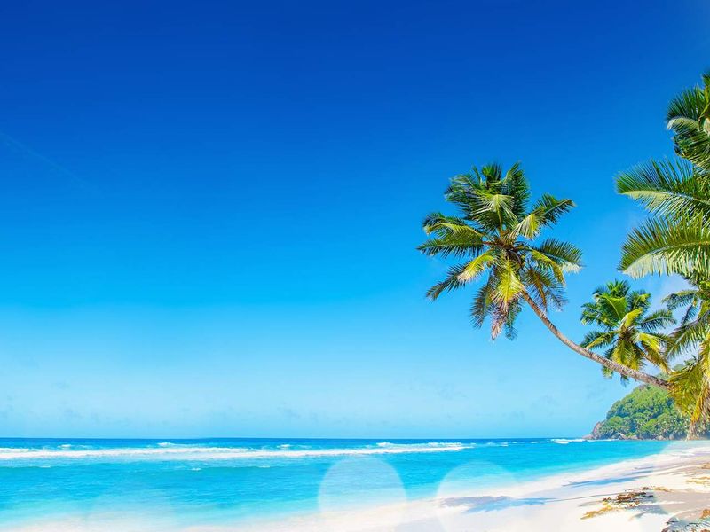 OFF MARKET OPPORTUNITY TO ACQUIRE AND OWN A PRIVATE ISLAND IN THE INCREDIBLE SEYCHELLES - Photo 6