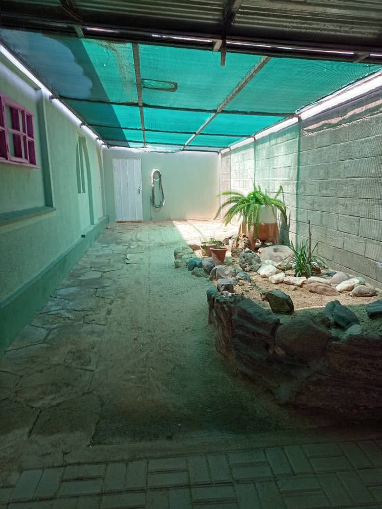 Inyard covered with shade netting