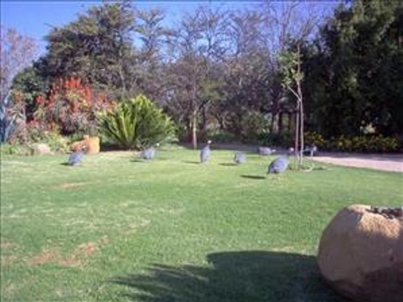 Farm for sale in Zwartkop - Photo 6
