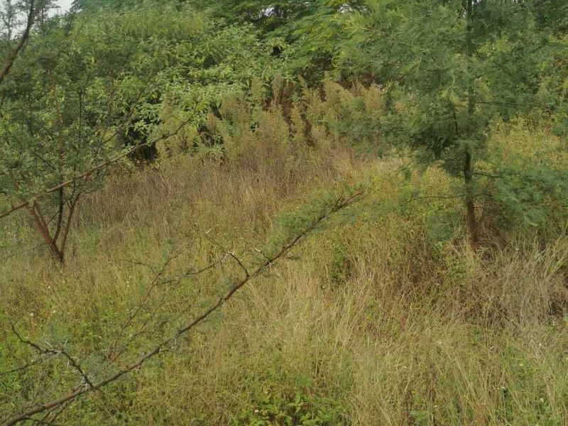 Pan Handle stand in Erasmuskloof for sale. - Photo 9