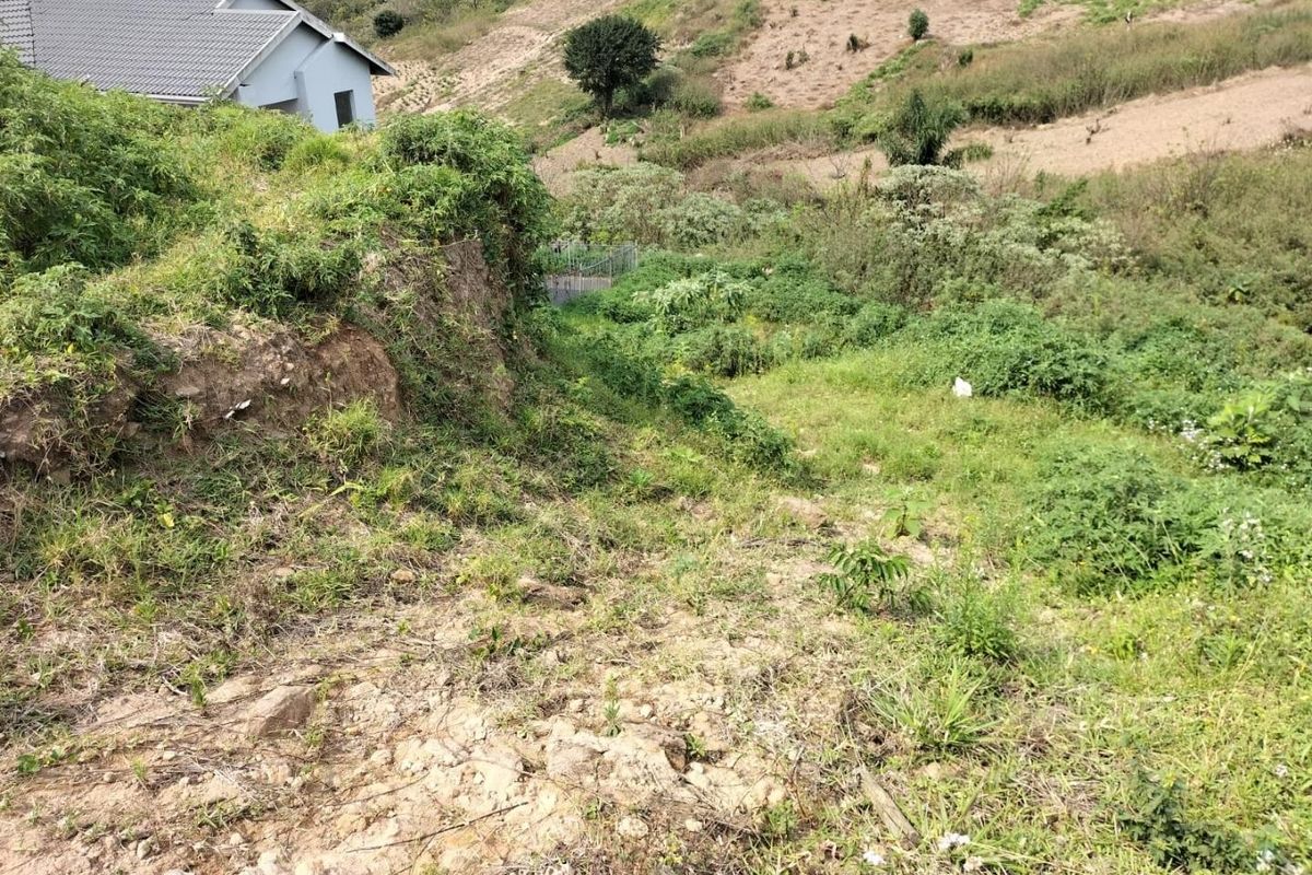 A view of a sloped, undeveloped residential plot with natural vegetation and visible soil erosion.