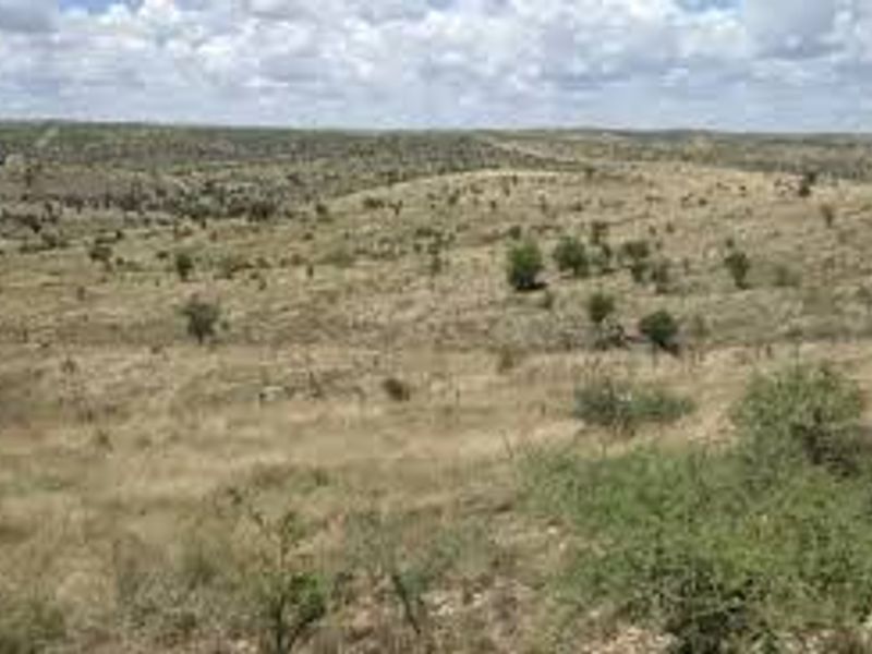 A wide-angle view of the expansive, undeveloped residential land featuring natural dry grassland and scattered native vegetation.