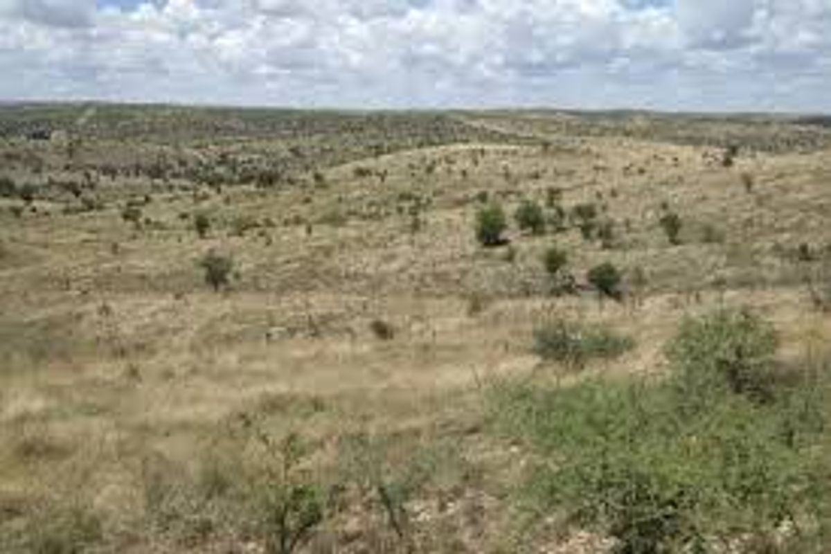 A wide-angle view of the expansive, undeveloped residential land featuring natural dry grassland and scattered native vegetation.