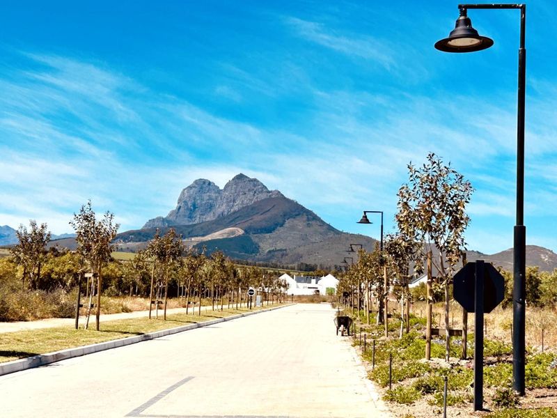 Modern Single-Storey Architectural Home in Mount Vernon Residential Estate - Photo 9