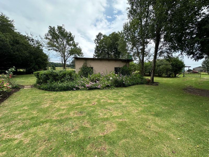 OFF-GRID INVESTMENT SMALL HOLDING – HELPMEKAAR, DUNDEE - Photo 8