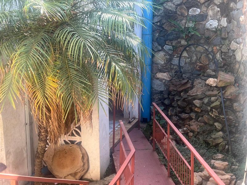A narrow outdoor walkway featuring a stone retaining wall, metal railings, and a palm tree in a rear garden setting.