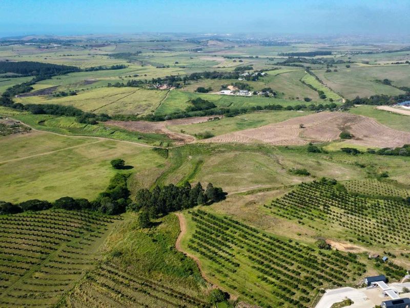 An expansive aerial view of the farm property, showcasing vast agricultural land, established orchards, access roads, and a private dam.