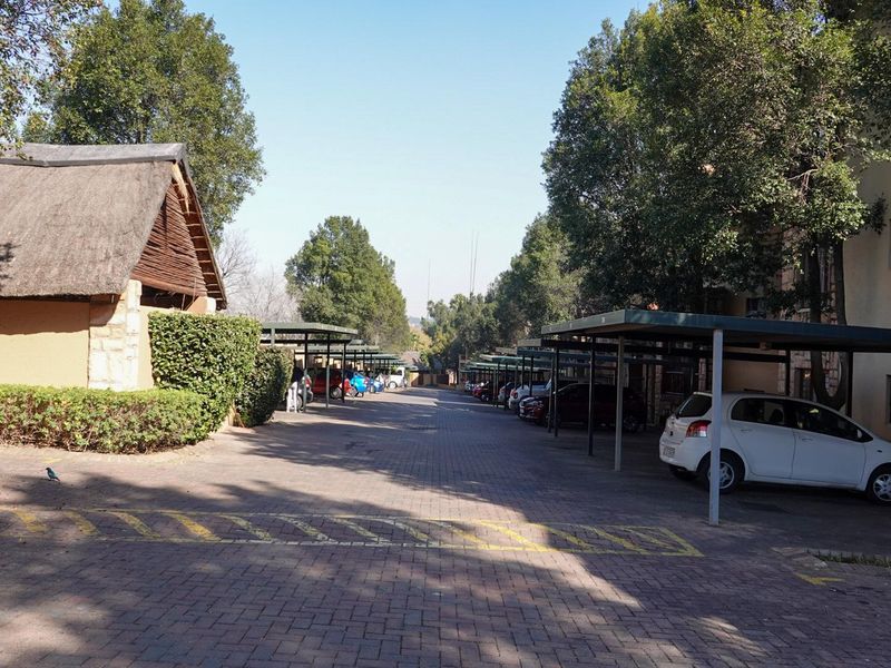 Stunning 1 bed, 1 bath apartment - Photo 6