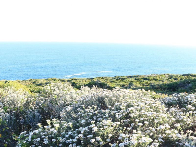 Vacant Land for sale in Pinnacle Point Golf Estate - Photo 10