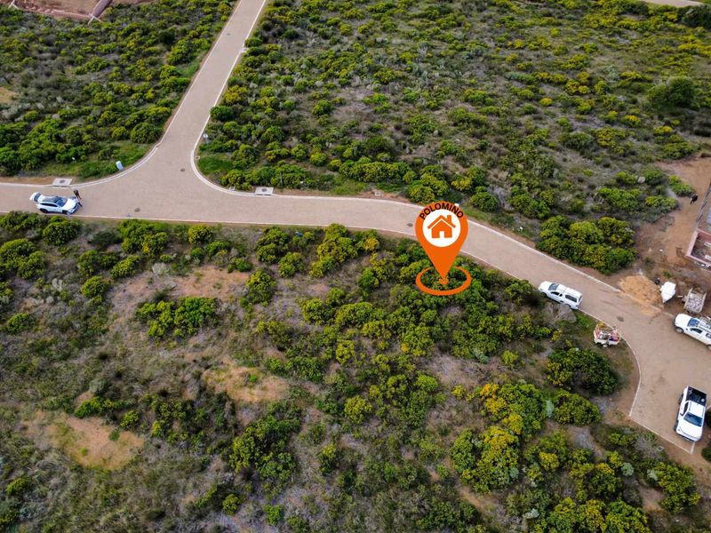 Aerial view of a vacant residential plot featuring natural vegetation, adjacent to a paved road with established infrastructure.
