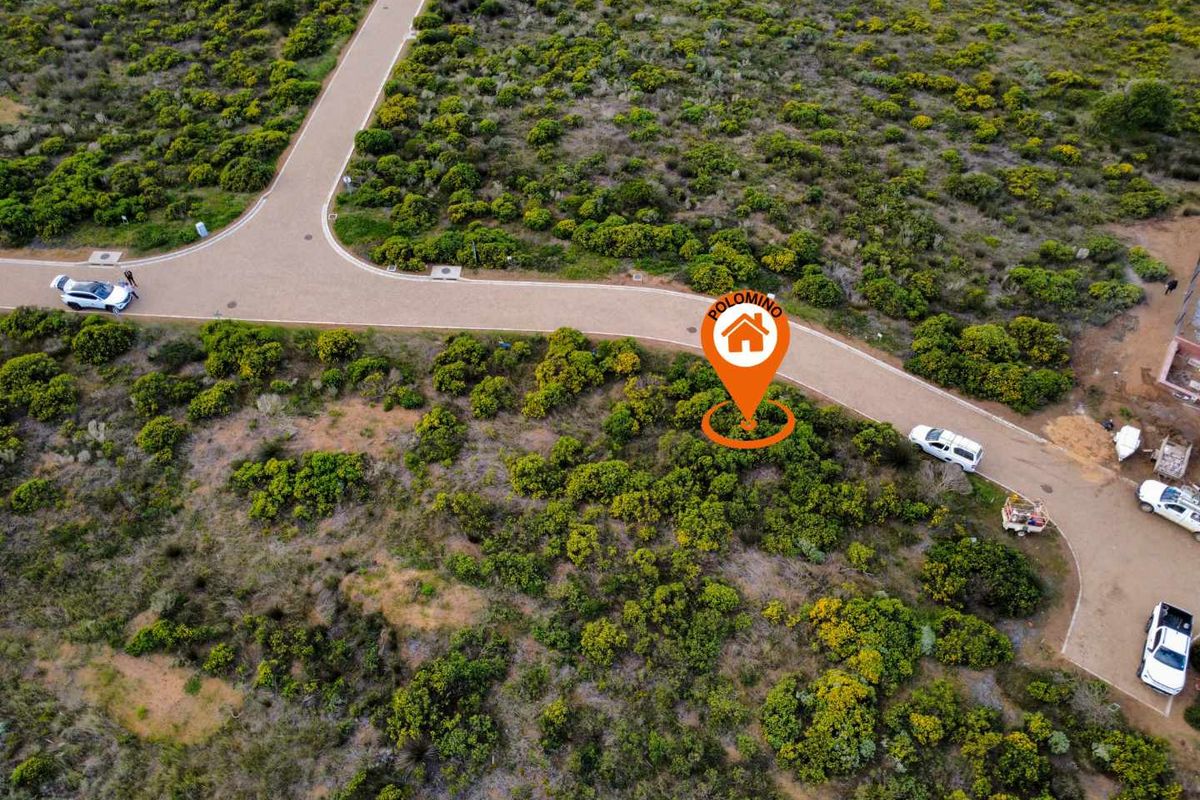 Aerial view of a vacant residential plot featuring natural vegetation, adjacent to a paved road with established infrastructure.