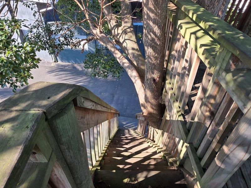 An elevated timber staircase and deck area showing significant weathering and signs of wear, integrated with mature tree landscaping.