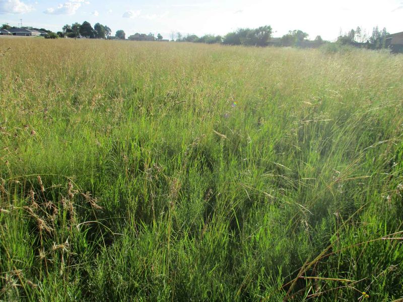 PRIME LAND AND LOCATION ! - Photo 8