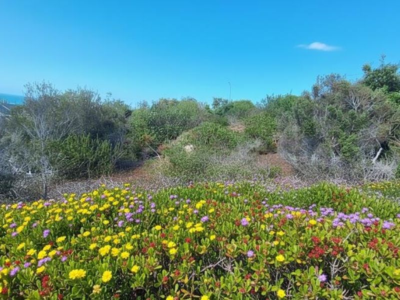 1025m2 Vacant land with Beautiful Ocean View for Sale in Dana Bay - Photo 8