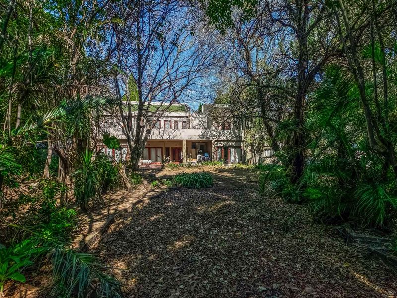 Opportunity Knocks – Endless Potential in the Heart of Rivonia - Photo 2