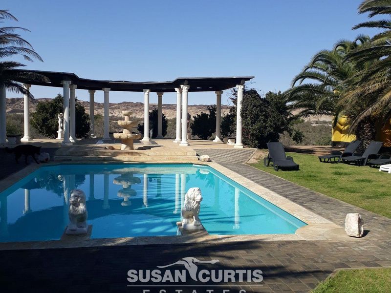 Beautiful Income Generating Farm in Municipal Area - Photo 5