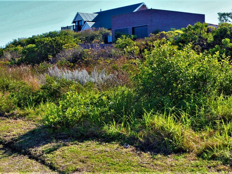 Spacious and Serene: Dana Bay's Premier Stand for Sale - Photo 4