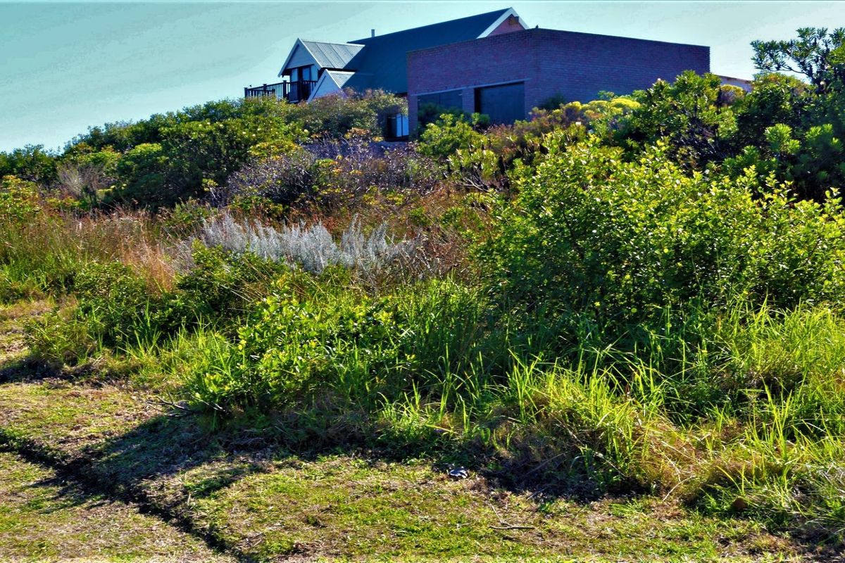 Spacious and Serene: Dana Bay's Premier Stand for Sale - Photo 4