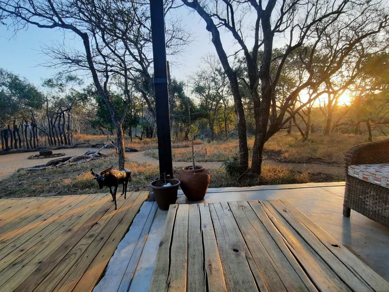 A spacious outdoor patio featuring a combination of timber decking and concrete flooring, overlooking a natural bushveld landscape.