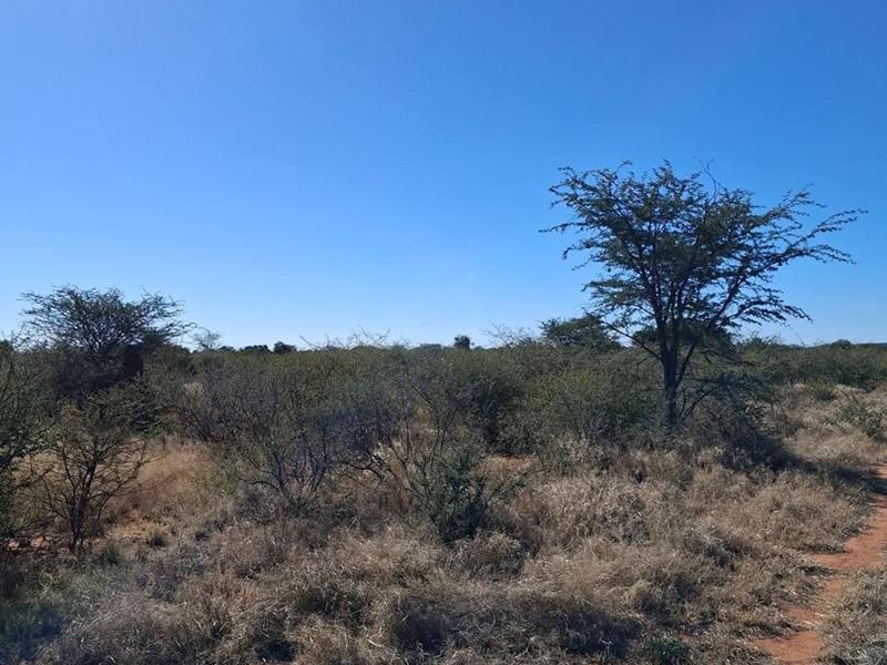 A view of the open farm landscape featuring natural vegetation and dry grass under a clear blue sky.