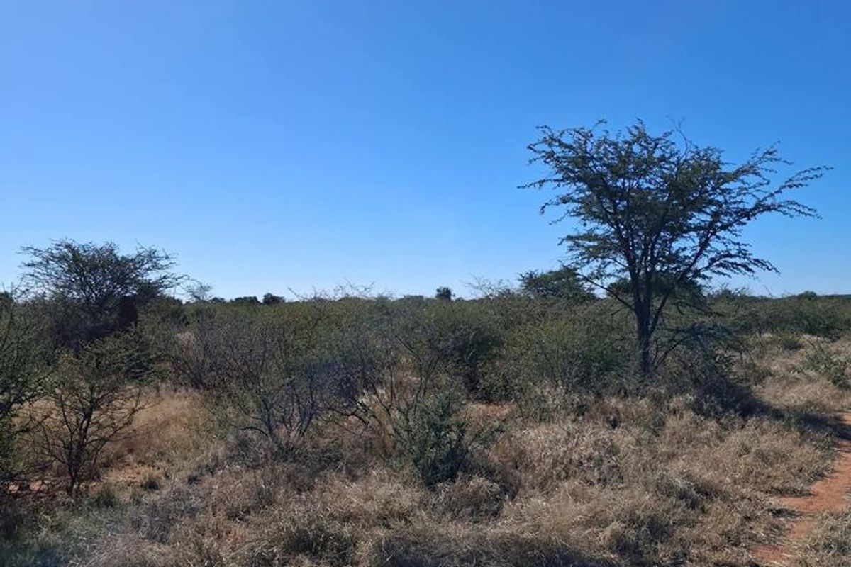 A view of the open farm landscape featuring natural vegetation and dry grass under a clear blue sky.
