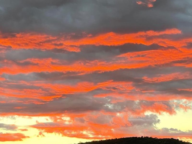 Double up with two homes on one property! - Photo 3