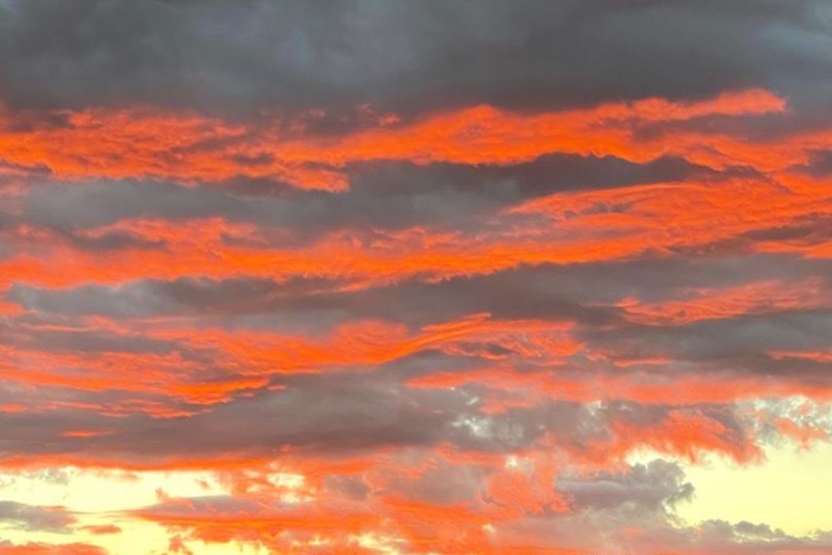 Double up with two homes on one property! - Photo 3