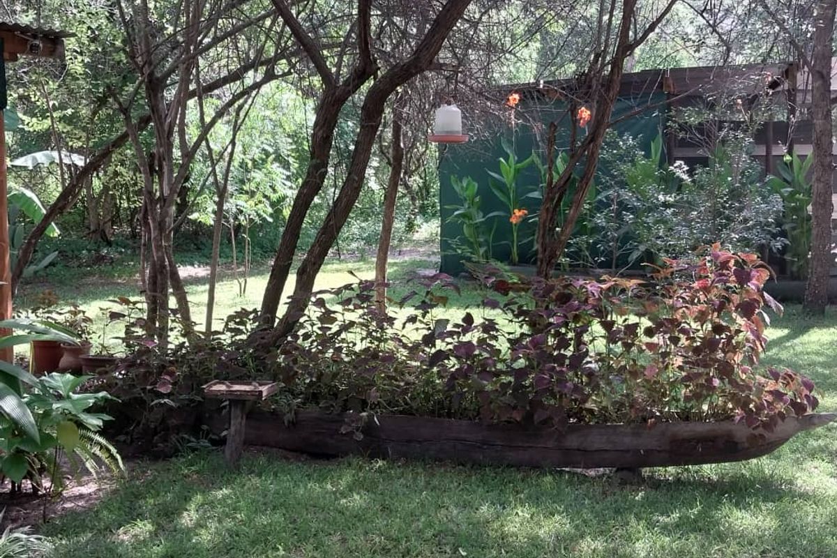 Amazing place in the Zambezi Region, Cabins and Campsite as a going concern! - Photo 4