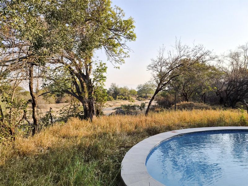 A circular swimming pool featuring stone coping, set against a natural bushveld landscape with mature trees and dry grass.